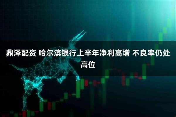 鼎泽配资 哈尔滨银行上半年净利高增 不良率仍处高位